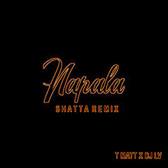 DJ LV Feat. T-Matt - Napala (Shatta Remix) (Bereta Riddim)