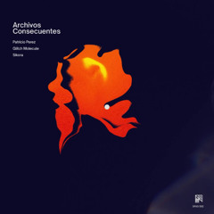 PREMIERE: Patricio Perez - No Comprendo (Sikora Remix)[SPAS002]