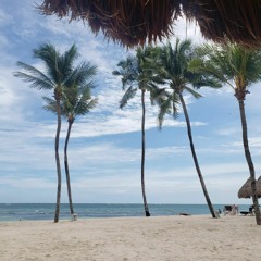 ❤️‍🔥🍄🚀🌴🥳