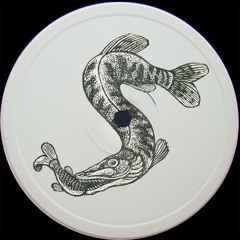 Sansevieria Dub | Premiere