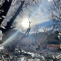 George Edmondson: Sonic Solastalgia