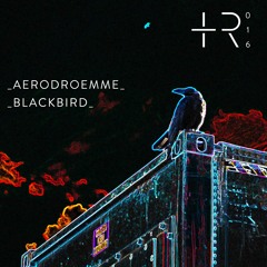 [PREMIERE] | Aerodroemme - Blackbird  [TTR016]