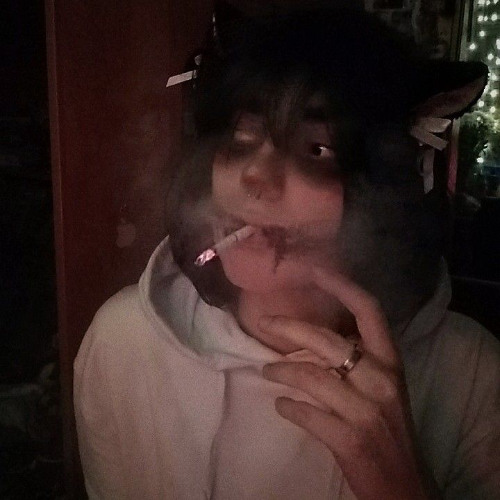 солана флиппер - тёмный принц