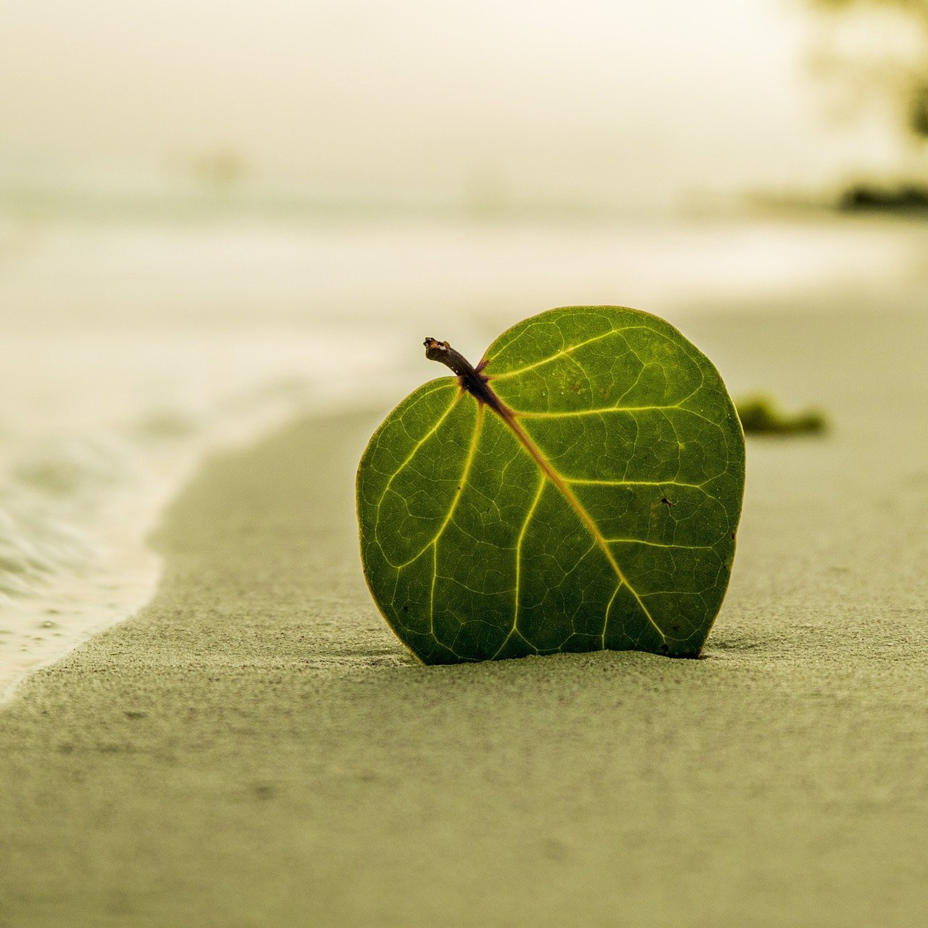 CC166: Over 100 Arguments for the Existence of God PART TWO