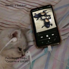 Weditt X Gekkon ШИЗО (Песня про тёфу)
