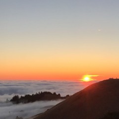 Do or Die (Voice Memo) - Redwood Empire