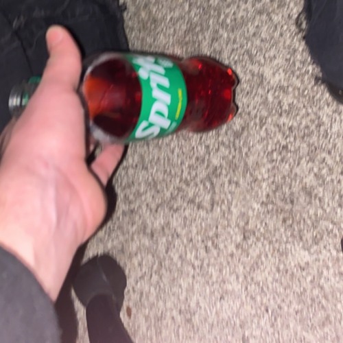 StupidBitchAnthemPartTwo