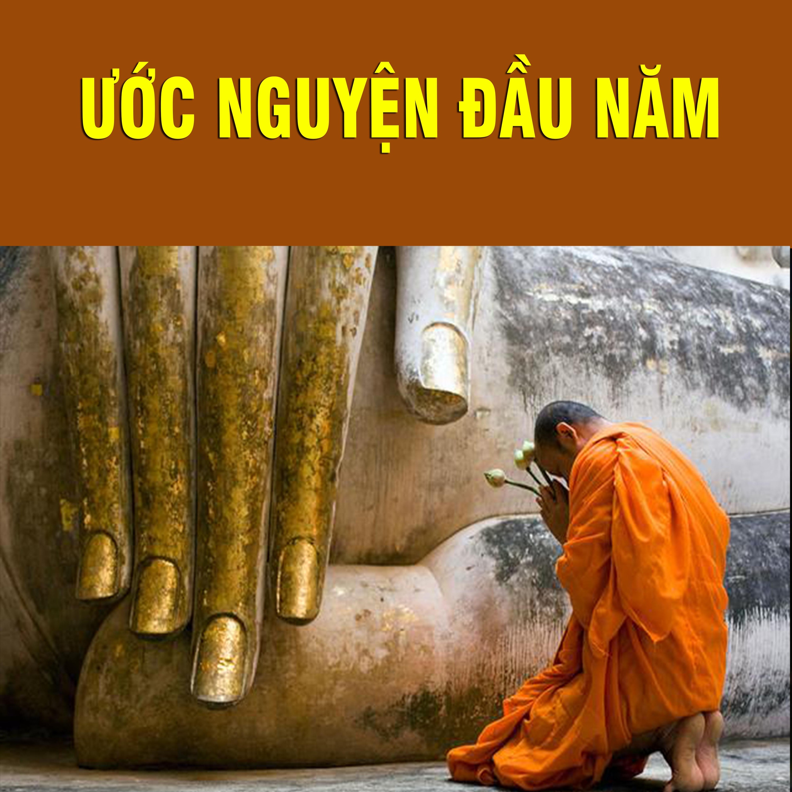 Ước Nguyện Đầu Năm episode artwork