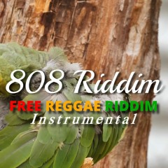 808 Riddim