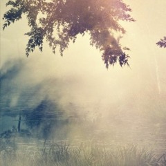 New & hot: Ambient