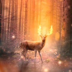 The Deer Hunter &  Elfin Delfin (Mix 2025) & Video Link