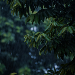 Steady spring rains (naviarhaiku591)