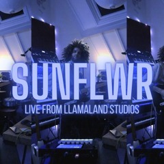 SUNFLOWR - Post Malone and Swae Lee - Bootleg