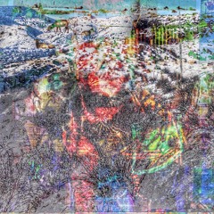 SPECTATORSPORT