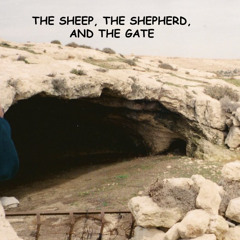 The Sheep, The Shepherd, And The Gate
