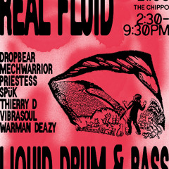 THIERRY D - REAL FLUID PROMO MIX JUNE 2025