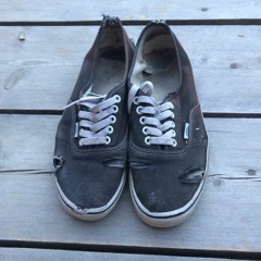 like wolf and a moose or coyote