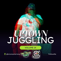 Uptown Juggling Volume 14 (Reggae & Dub)