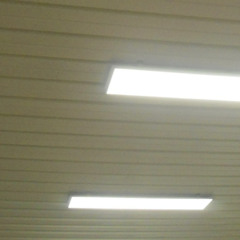 この恋全部間違ってる気がする