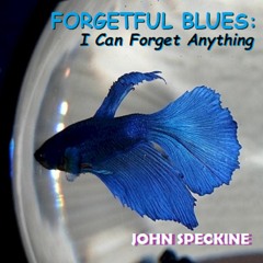 Forgetful Blues