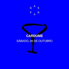 Gaspar recebe Cardume DJs