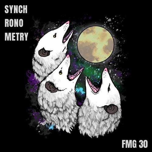 Synchronometry - FMG 30