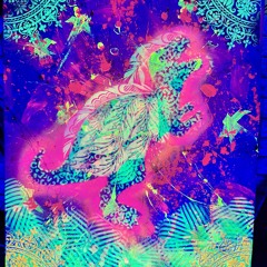 QU4N7UM_L34P