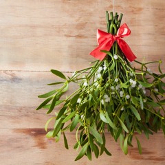 Justine Bieber - Mistletoe Cover