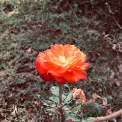 3 مزج _ العظماء by MUH