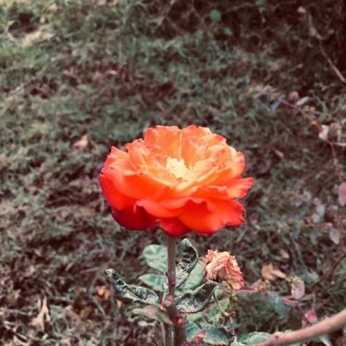 3 مزج _ العظماء by MUH