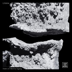 Isgang - Mental Representations [Premiere I LPR036]