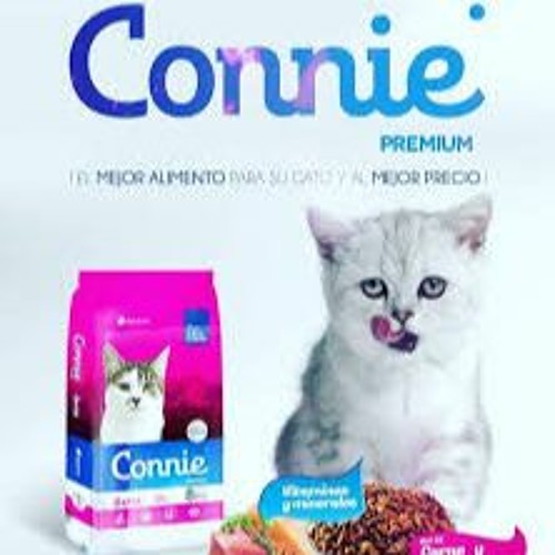 Stream Jingle "Connie" - Comida para Gatos by Supersonica Produccion |  Listen online for free on SoundCloud
