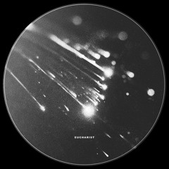 DT:Premiere | BRÄLLE - Eucharist [Adversarial Machines]