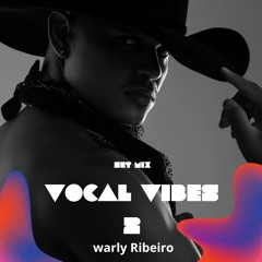 SET MIX VIBES VOCAL 2