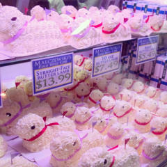 Thanksgiving 25' Instrumental