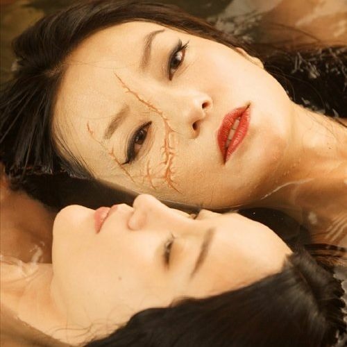 ç»æ /Hoa Tinh