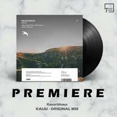 PREMIERE: Rauschhaus - Kaiju (Original Mix) [MANGO ALLEY]
