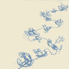 PREMIERE : Saïph - Dramatis Personae