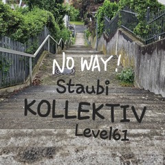 STaubi_Level61_Kollektiv