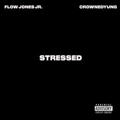 Stressed (feat. CrownedYung)