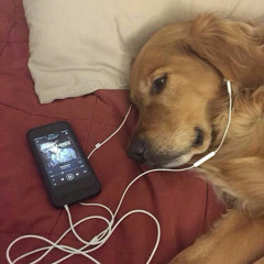 FLASHING LIGHTS X UNLIKE ME