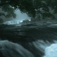 Submerged