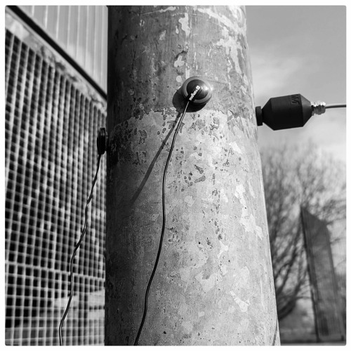 Lamp post In The Wind With Local Skater