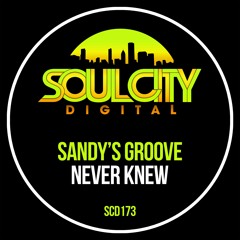 Sandy's Groove - Never Knew (Radio Mix)