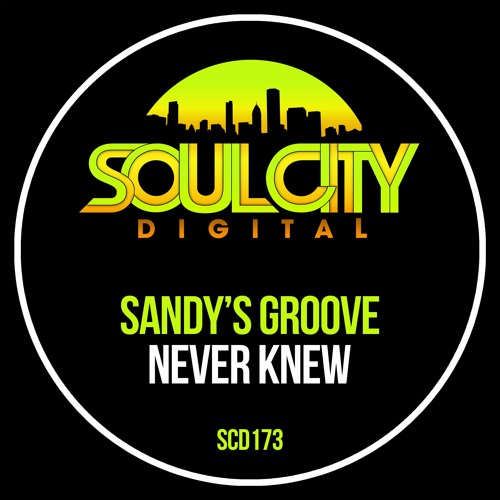 Sandy's Groove - Never Knew (Radio Mix)