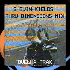 Shevin Kields Thru Dimensions Mix