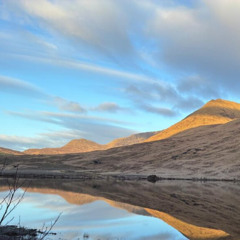 La mise à jour hebdo de la pêche à la ligne Irlandaise, 13 Mar 2026