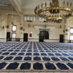 تلاوة هادئة لما تيسر من سورة الأنبياء - الشيخ مصطفى عبد الفتاح