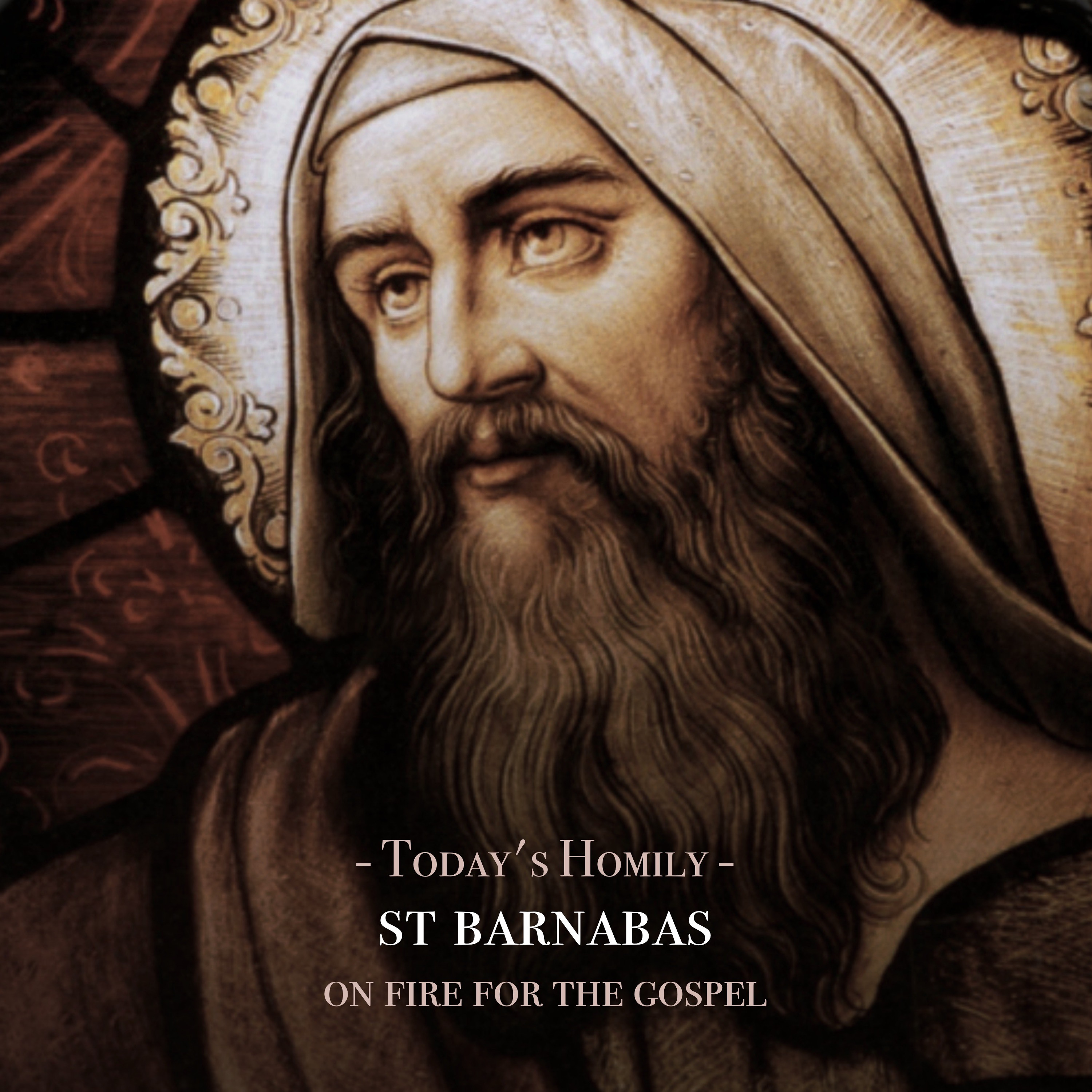 Fr. Barry Braum - Homilies and Conferences