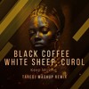 下载视频: Black Coffee  White Sheep, Curol -  Keep Moving  ( TareDj Mashup Remix )